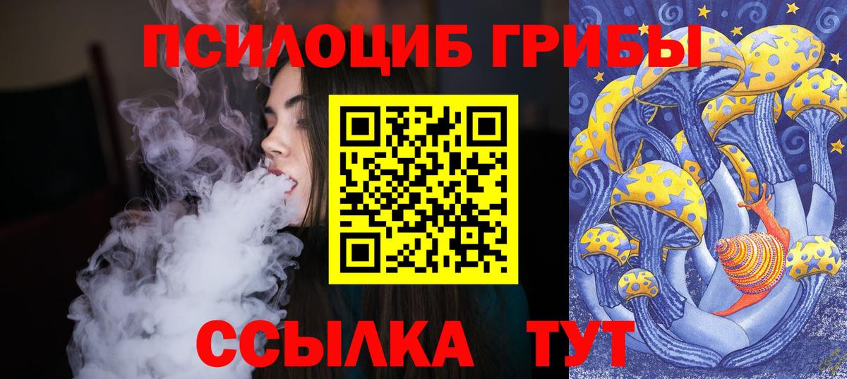 Омск  Псилоцибиновые грибы ЛСД  Вход с VPN  Галлюциногенные грибы GOLDEN TEACHER 