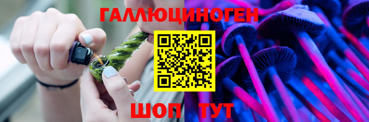 Псилоцибиновые грибы Psilocybine cubensis Омск